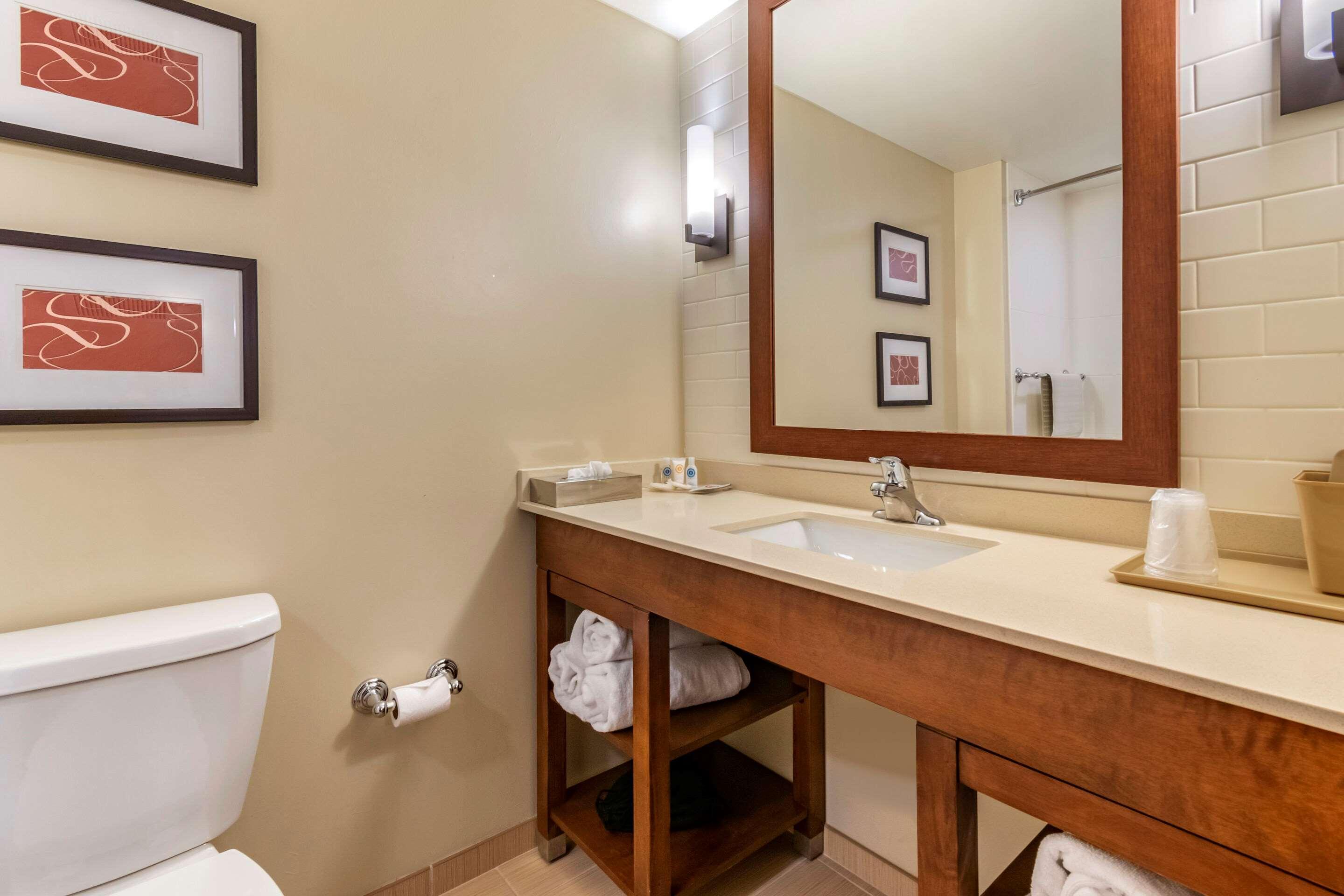 Comfort Suites Manheim - Lancaster Exterior foto